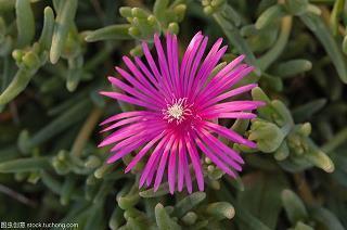 激励人上进的古诗词大全