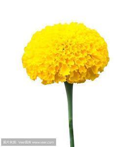 唯美的爱情句子 感动的句子爱情短句