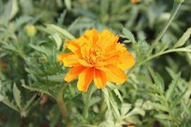 2021中秋节唯美句子朋友圈文案(精选96句)