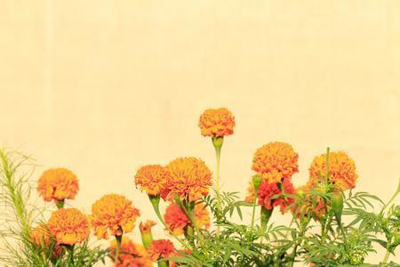 2020年公司元旦祝福语