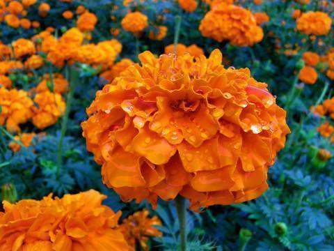 送老公生日微信祝福语