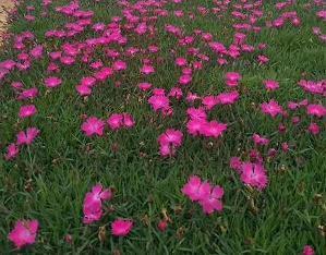 发朋友圈中秋节祝福语简短(精选30条)