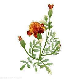 送男友的情人节祝福语大全
