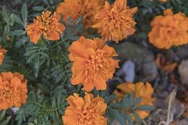 适合各种心情的说说(精选53句)