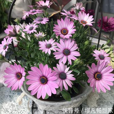 锐