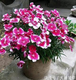 海边的说说句子