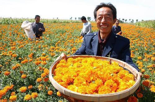 心胆俱碎