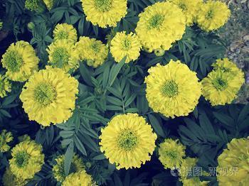 适合芒种发朋友圈说说文案 芒种节气朋友圈个性文案