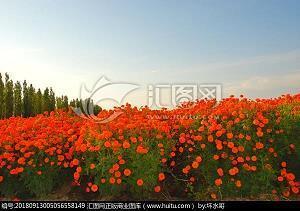 靖节