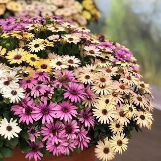 一个人寂寞伤感的心情说说最新(精选98句)