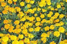 2021毕业季50句戳心留言 毕业赠言简短唯美