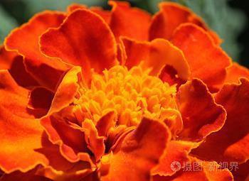 鼠年结束牛年到来春节祝福语