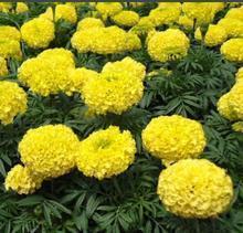 2021立冬节气祝福语简短大全(精选67条)
