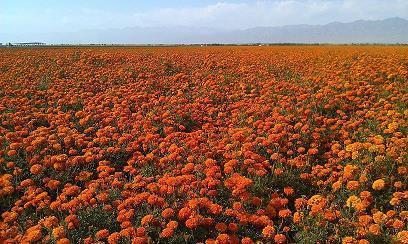 一定要用心的座右铭(精选30句)