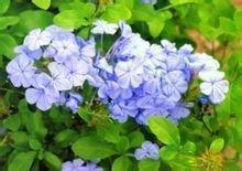 祝外甥生日快乐发红包的句子
