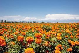 2021最新个性签名 简短吸引人的个性签名