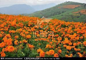 闺蜜生日祝福语简短暖心朋友圈文案(精选59条)