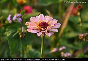 2021年那些成熟女人发的个性说说推荐78句