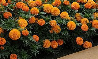 古装照发朋友圈配文 配古装照片的简短文字