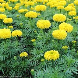 招是惹非