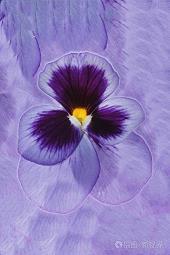 qq伤感说说心好累