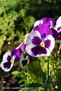 晚安说说心情短语 别让过去拖住脚，别让未来被辜负