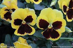 伤感说说适合发朋友圈的伤感句子103句