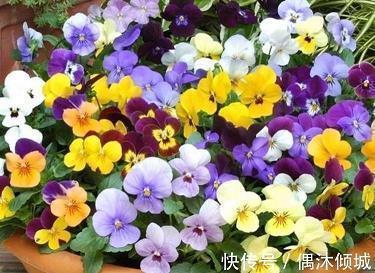 2020年520表白的话