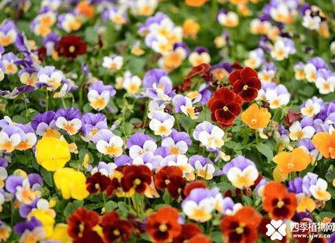 给客户中秋送礼祝福语贺卡(精选92条)