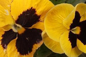 高考祝福励志寄语大全