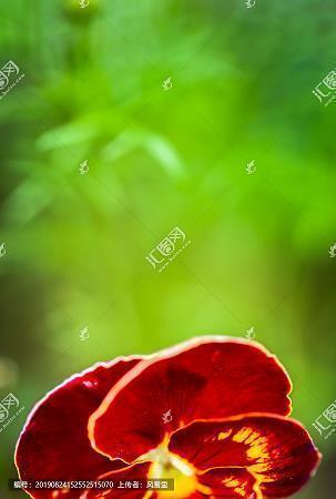 缥帙