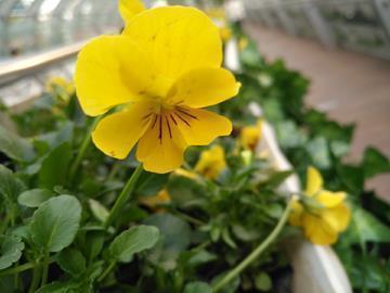 2020给老公的经典生日祝福语