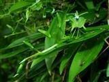早会励志小故事分享3则含感悟