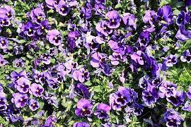 勇于突破自己的励志语 自我突破的语句