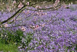 给对象发红包的句子