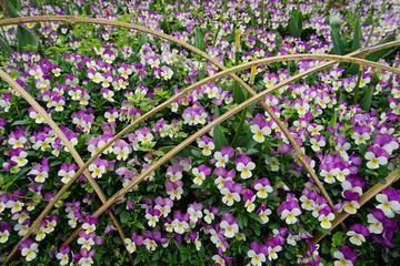 人生经典语句73句