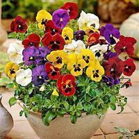 对媳妇说的最温馨的话 让媳妇感动到哭的话