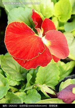 2020学生考试顺利祝福语