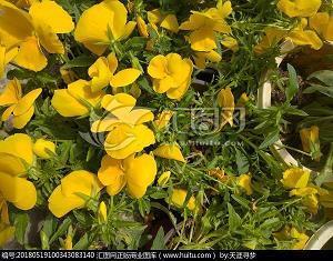 2021倒计时心情说说大全(精选54句)