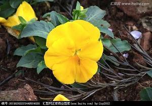 留芳百世