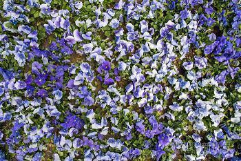 2021情人节祝福语大全简短