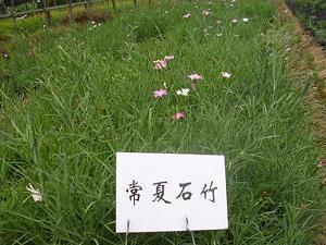一句励志的句子简短