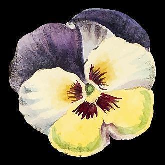 对生活励志且伤感的句子