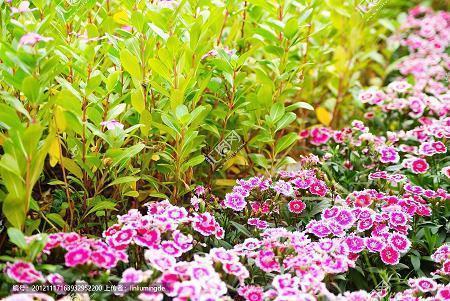 中秋节给领导的祝福语简短一句话2021年(精选91条)