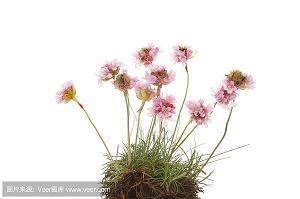 马云精彩语录大全_云唯美句子