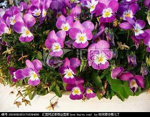 高谈阔论