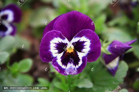 重阳节对老人的祝福语2021年(精选67条)