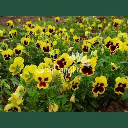 一年又一年人生感悟的哲理句子