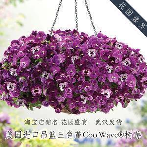 貌合心离