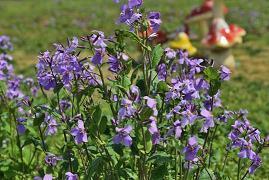 2020最经典的一句话说说28句